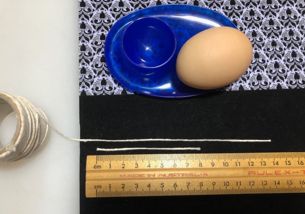 measuring the egg